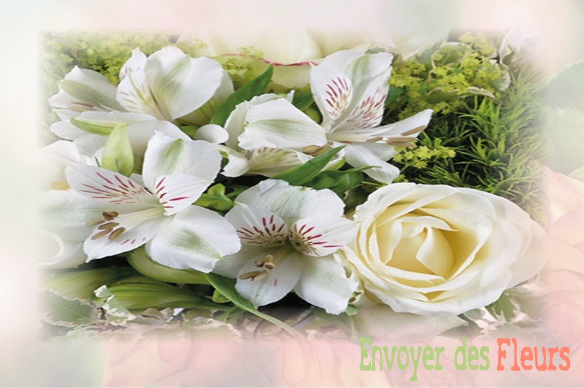 envoyer des fleurs à à BAGNERES-DE-BIGORRE